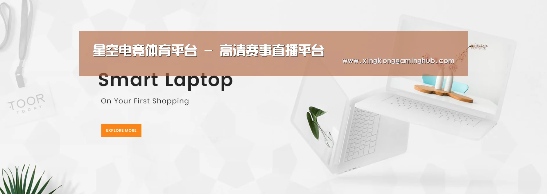 某某网络科技有限公司