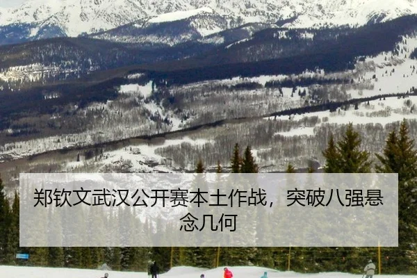 zheng-qin-wen-wu-han-gong-kai-sai-ben-tu-zuo-zhan-tu-po-ba-qiang-xuan-nian-ji-he-2-608.jpg