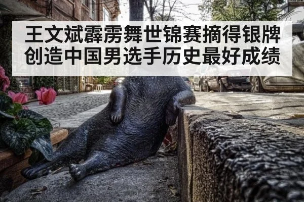 王文斌霹雳舞世锦赛摘得银牌 创造中国男选手历史最好成绩