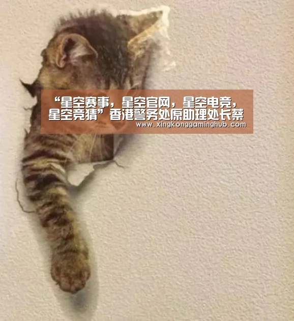 “星空赛事,星空官网,星空电竞,星空竞猜”香港警务处原助理处长蔡展鹏任警队国安处处长(图2) 星空赛事,星空官网,星空电竞,星空竞猜