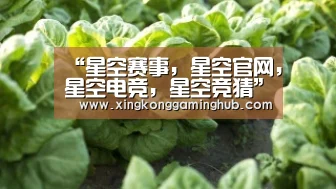 “星空赛事,星空官网,星空电竞,星空竞猜”香港警务处原助理处长蔡展鹏任警队国安处处长(图1) 星空赛事,星空官网,星空电竞,星空竞猜
